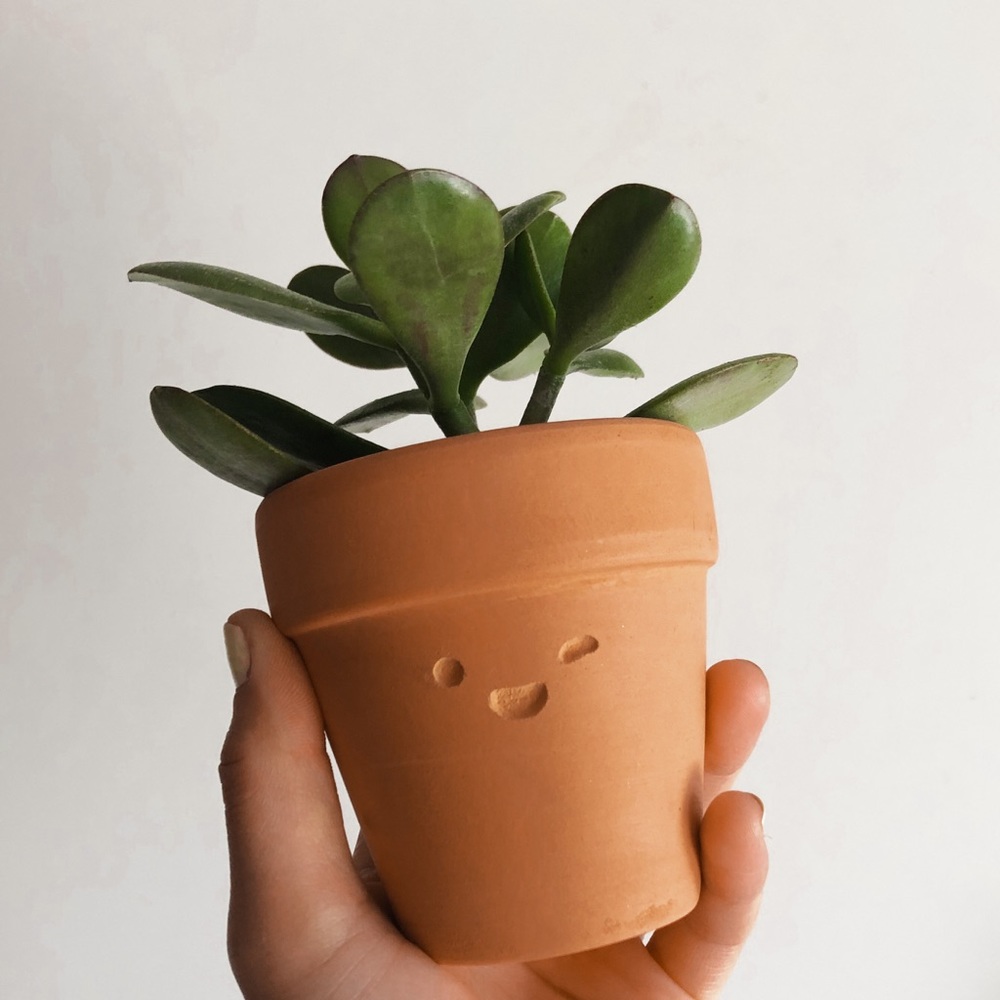 CUSTOM Terracotta Pot